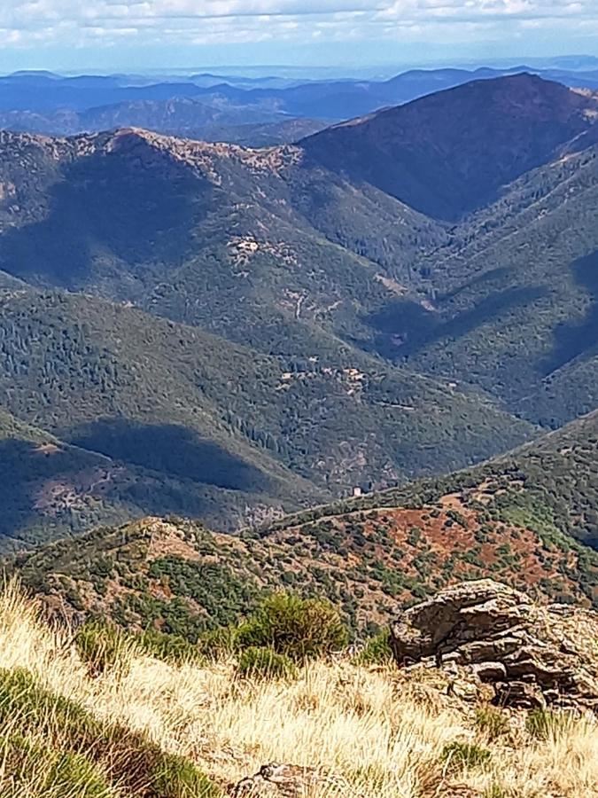Gite En Cevennes Du Sud, Bergerie Restauree Au Rez De Jardin D'Une Bastide Avec Piscine, Vue Exceptionnelle, Authenticite Et Confort Saint-Laurent-le-Minier Екстер'єр фото