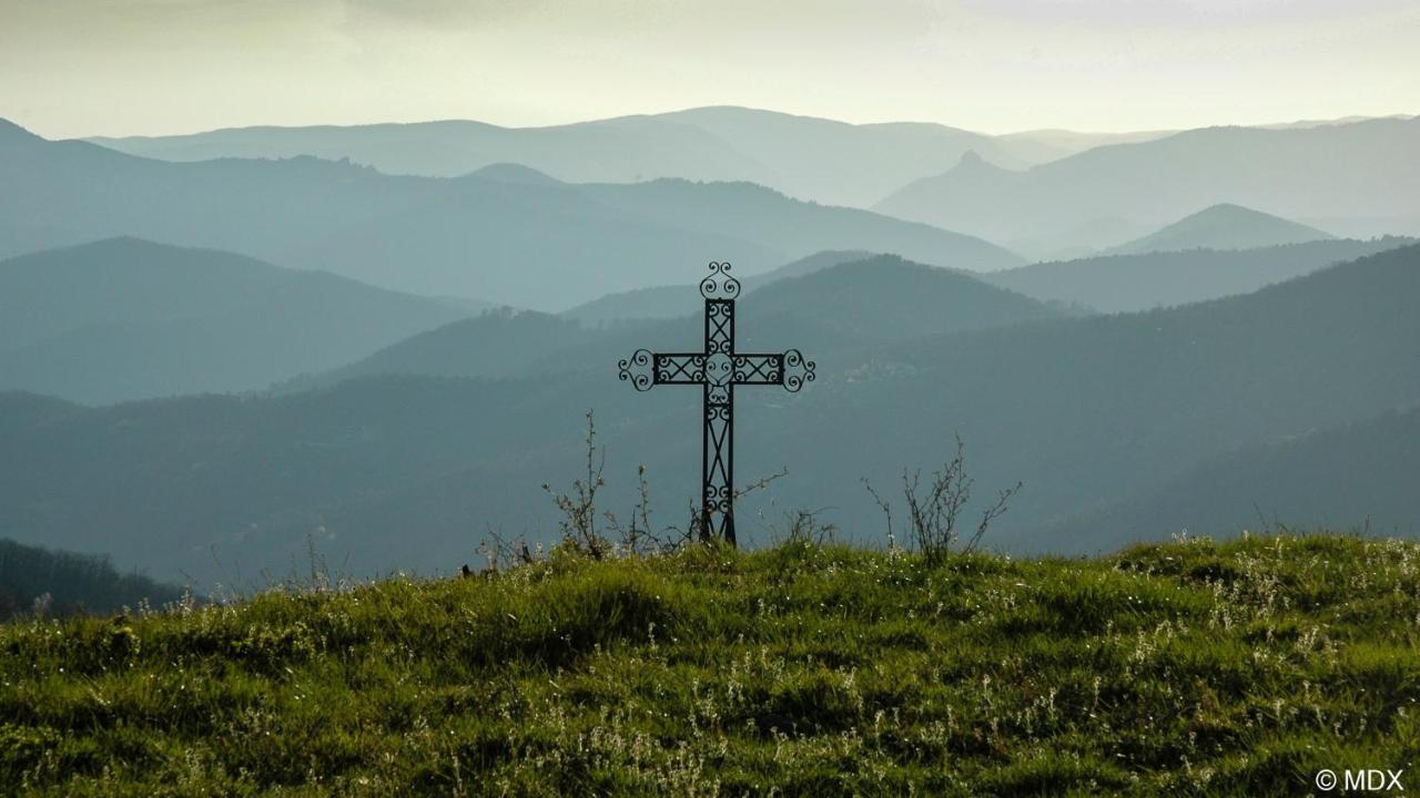 Gite En Cevennes Du Sud, Bergerie Restauree Au Rez De Jardin D'Une Bastide Avec Piscine, Vue Exceptionnelle, Authenticite Et Confort Saint-Laurent-le-Minier Екстер'єр фото